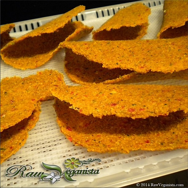 Raw Taco Shells after they have been dehydrated